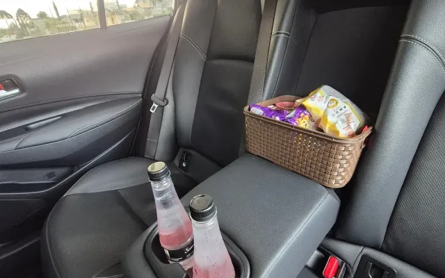 Interior de luxo de veículo executivo VipMove