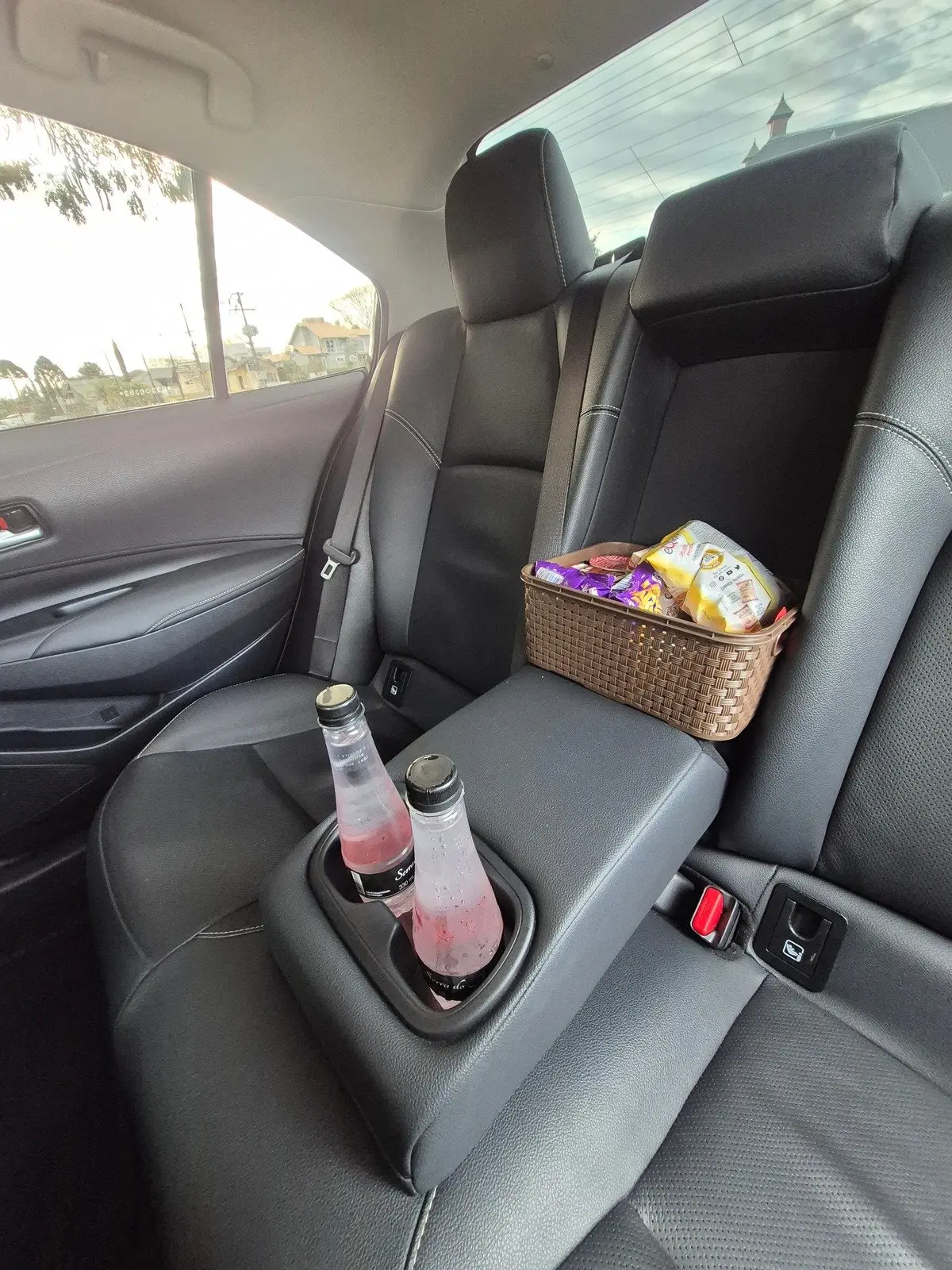 Interior de luxo de veículo executivo VipMove